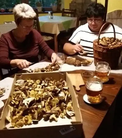 Kačenka